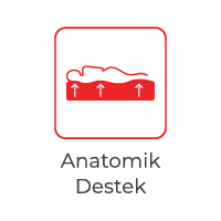 anatomik-destek.png