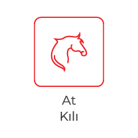 at-kili.png