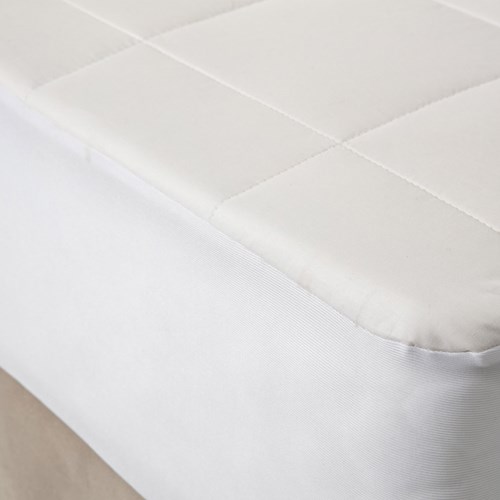 COTTON ALEZ